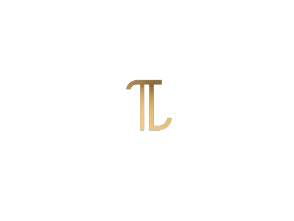 Portfolio Logo